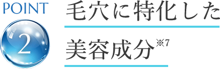 point2 毛穴に特化した美容成分※7