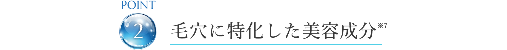 point2 毛穴に特化した美容成分※7