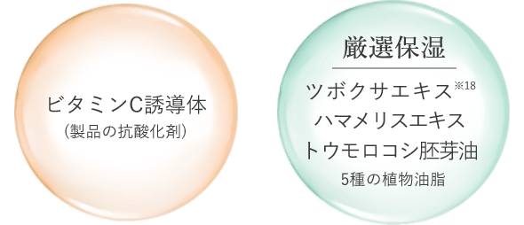 ビタミンC誘導体 厳選保湿