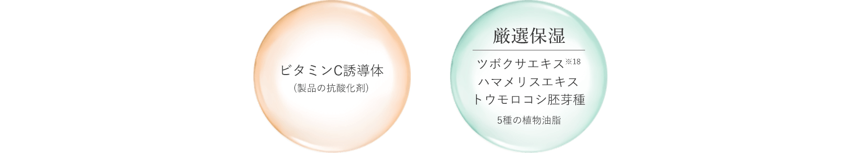 ビタミンC誘導体 厳選保湿