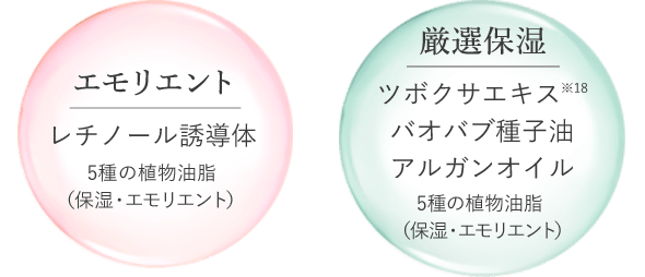 レモリエント 厳選保湿