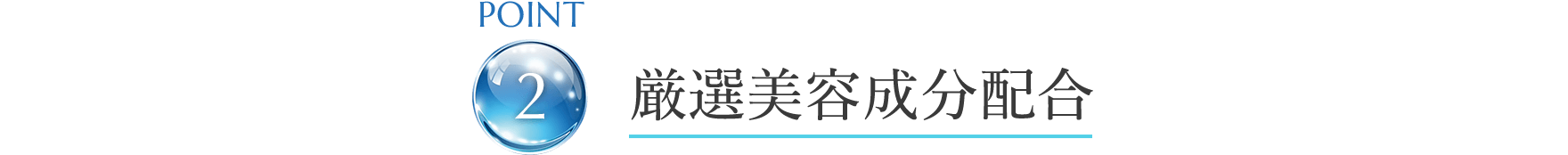 point2 厳選美容成分配合