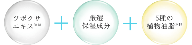 ツボクサエキス 厳選保湿成分 5種の植物油脂