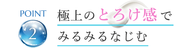 point2 極上のとろけ感 で みるみるなじむ
