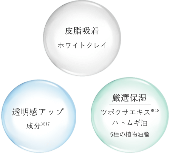 皮脂吸着 透明感アップ成分 厳選保湿