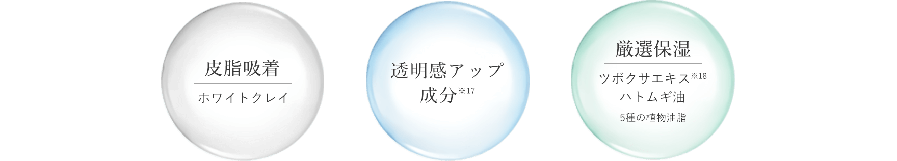 皮脂吸着 透明感アップ成分 厳選保湿